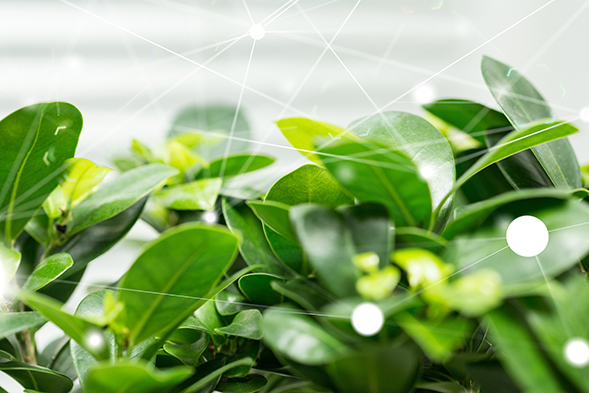 Umweltfreundlich dargestellt mit grünen Blätter