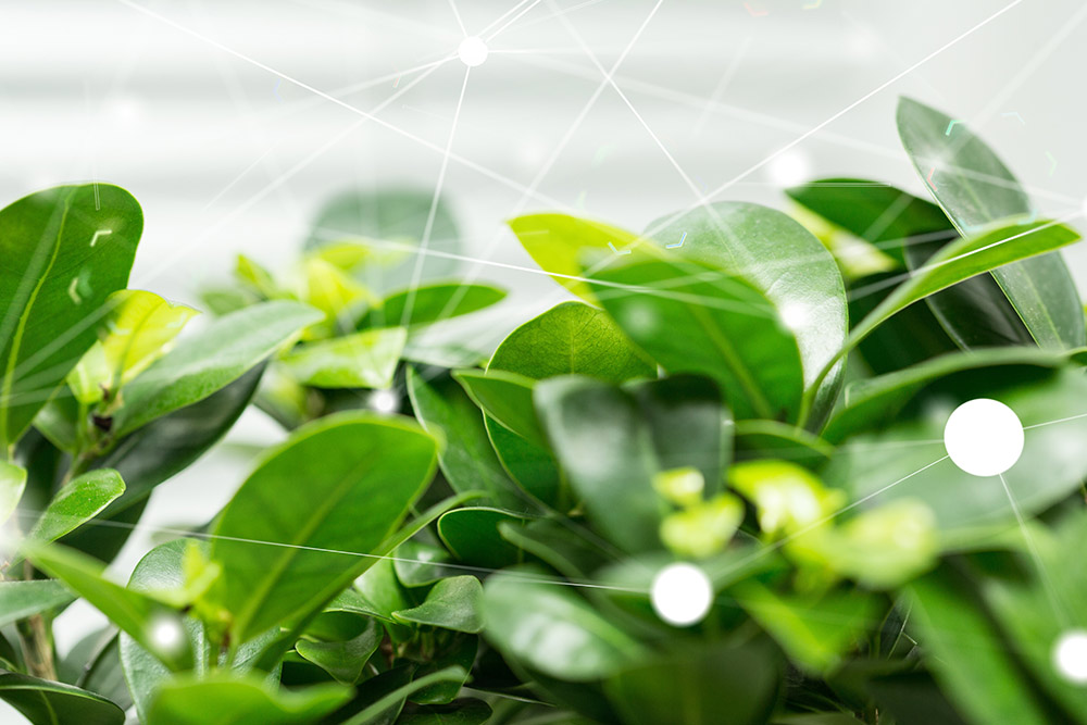 Zukunftsorientiert dargestellt mit grünen Blätter für nachhaltiger Energie